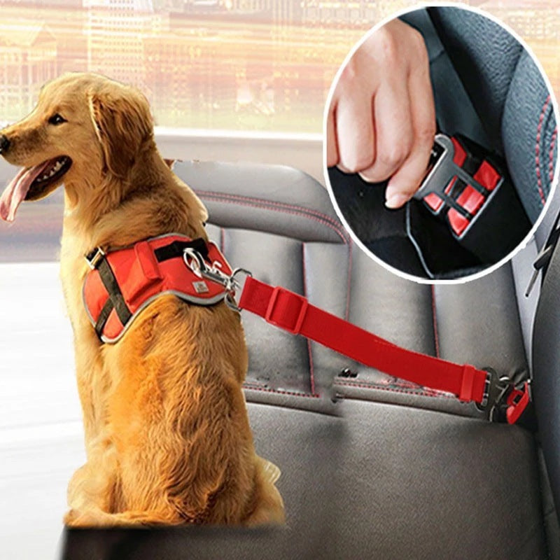 CozyPet Rides Adjustable Car Seat Belt for Dogs & Cats