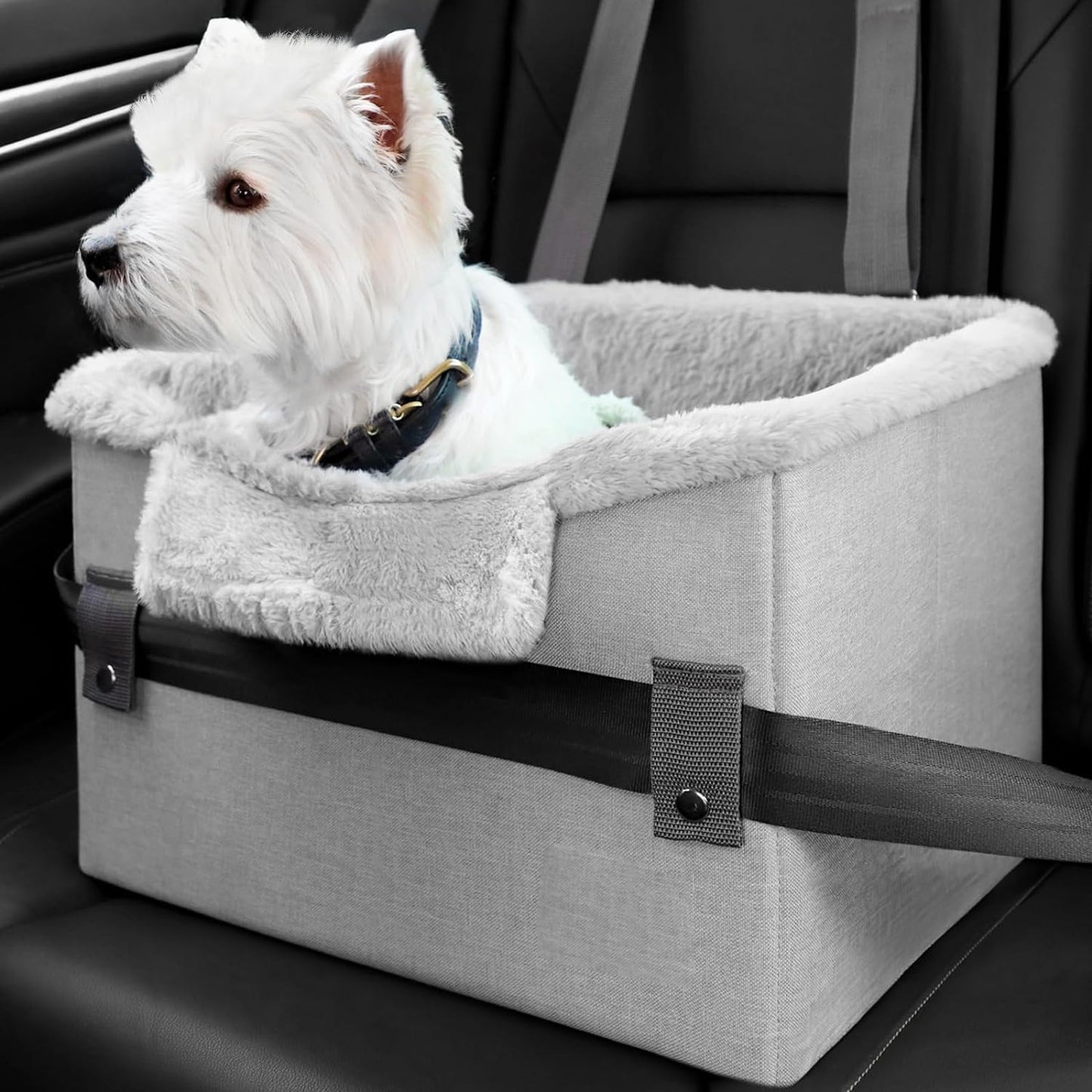 CozyPet Rides™ Portable Dog Booster Seat (With Safety Clip)
